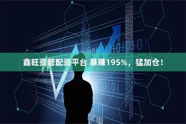 鑫旺资管配资平台 暴赚195%,猛加仓!
