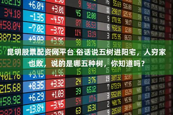 昆明股票配资网平台 俗话说五树进阳宅，人穷家也败，说的是哪五种树，你知道吗？