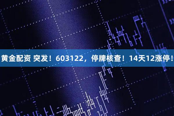 黄金配资 突发！603122，停牌核查！14天12涨停！