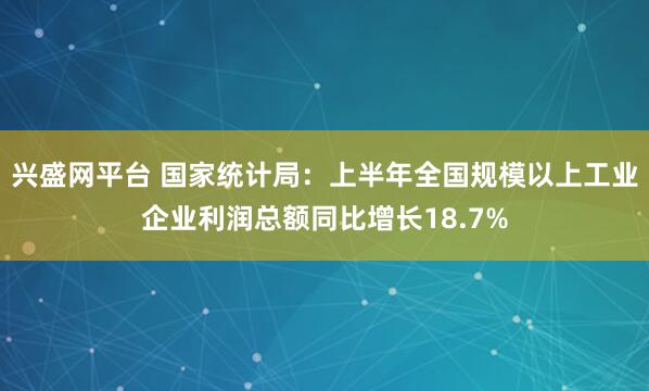 兴盛网平台 国家统计局：上半年全国规模以上工业企业利润总额同比增长18.7%